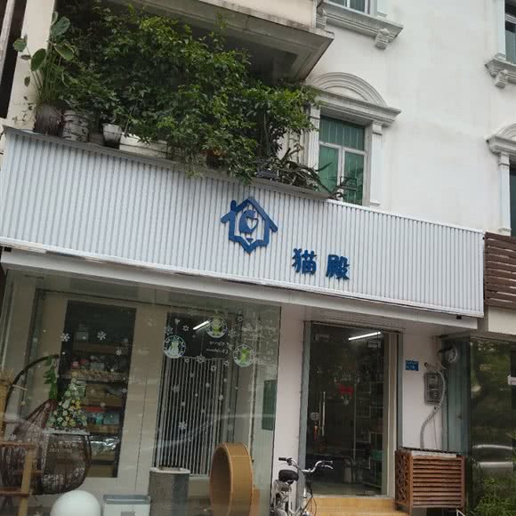 猫殿:东莞市东城街道运河路附近