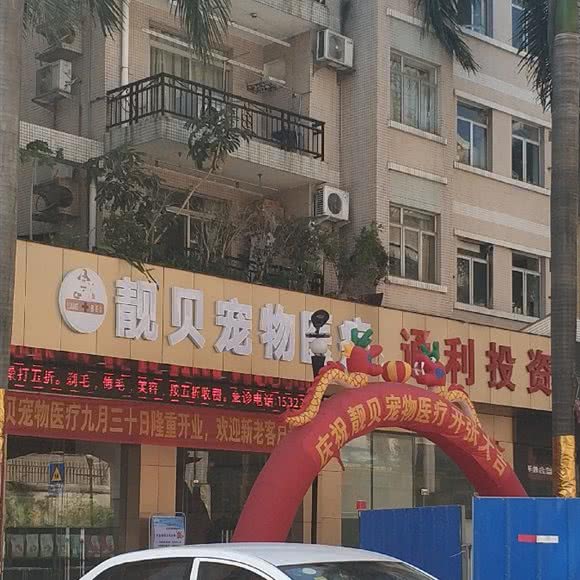 靓贝宠物医疗:东莞市东城街道新世纪星城附近