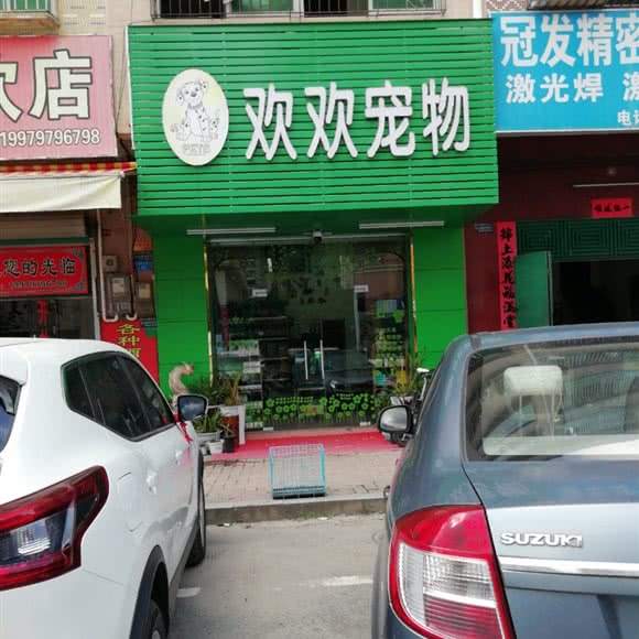 欢欢宠物:东莞市樟木头镇观音山公园附近