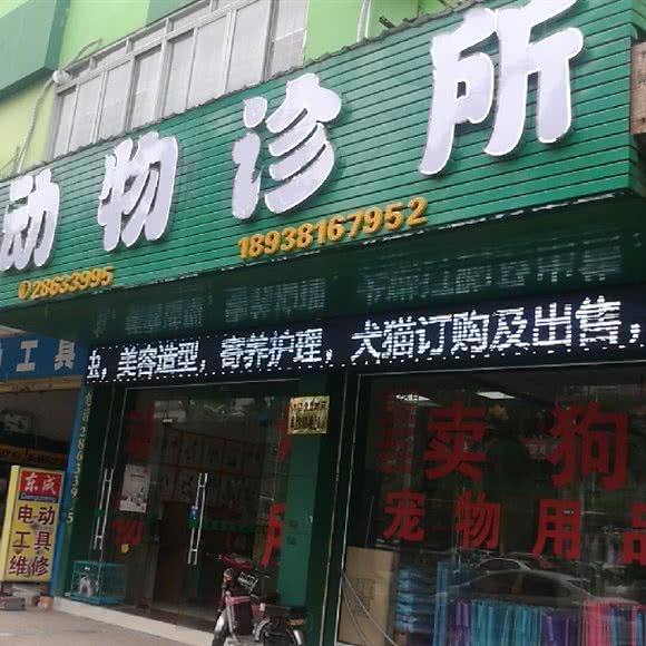 康泰动物诊所:东莞市万江街道新都会广场附近
