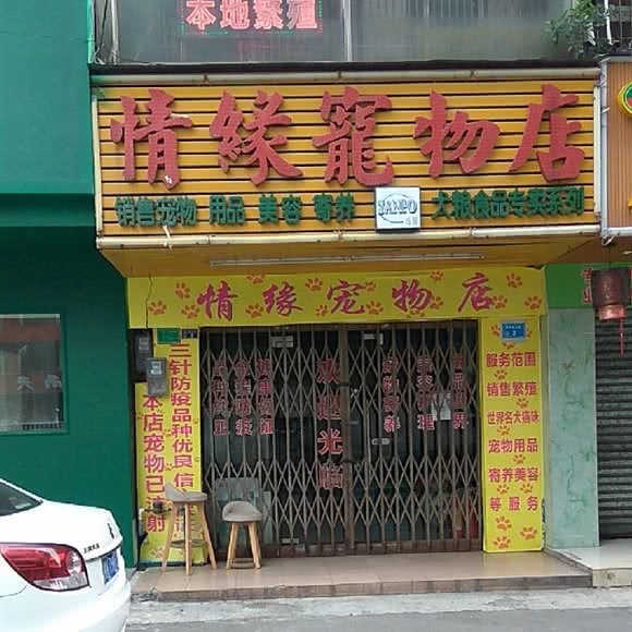 情缘宠物店:东莞市常平镇中元街附近