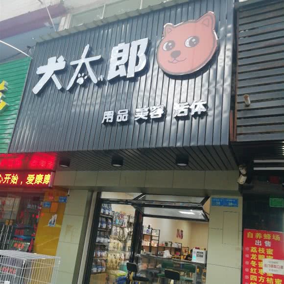 犬太郎:东莞市常平镇中元街附近