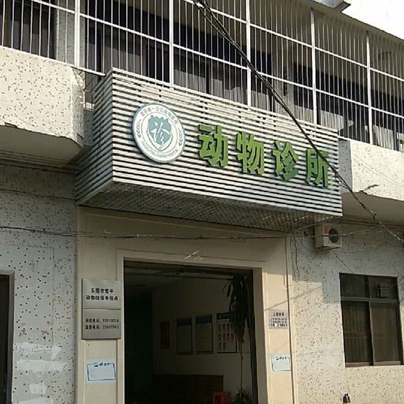 博康动物诊所:东莞市常平镇中元街附近