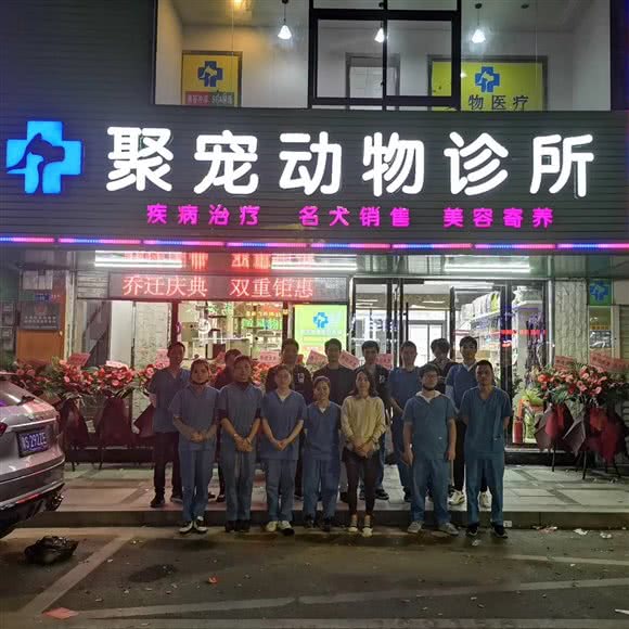 聚宠动物诊所:东莞市常平镇中元街附近