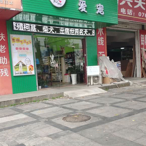 爱宠:东莞市常平镇百花时代附近