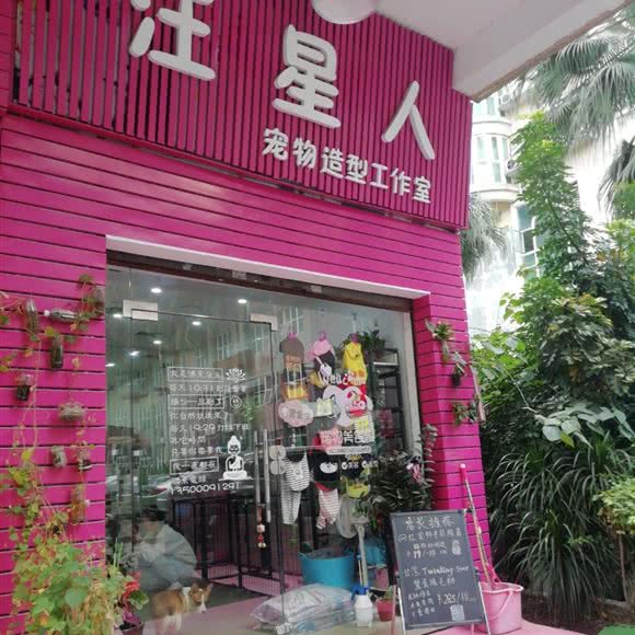汪星人宠物造型工作室:东莞市常平镇天鹅湖附近