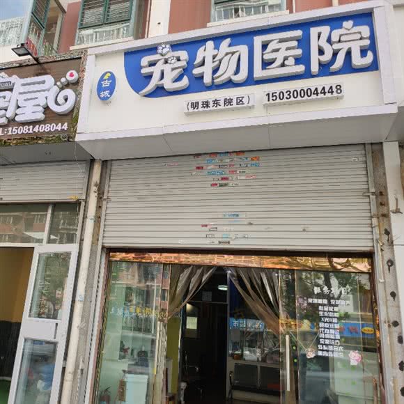 古城宠物医院(明珠花园分院):邯郸市邯山区明珠广场附近