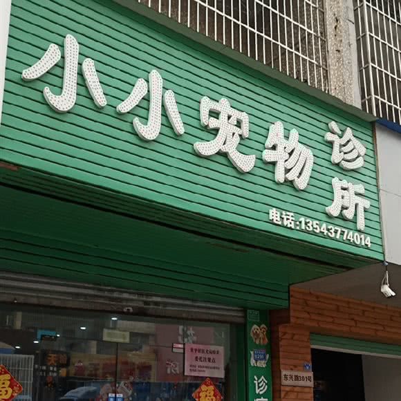 小小宠物诊所(常平店):东莞市常平镇天鹅湖附近