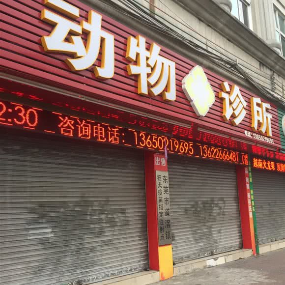 动物诊所:东莞市道滘镇道滘镇中心城区附近