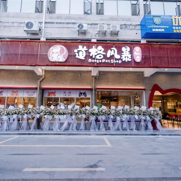 道格风暴宠物店(金洲店):东莞市虎门镇地标广场/不夜天附近