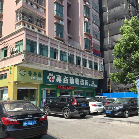 亮点动物诊所:东莞市虎门镇黄河时装城附近