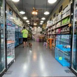 乐派宠物馆(虎门店):东莞市虎门镇虎门步行街附近