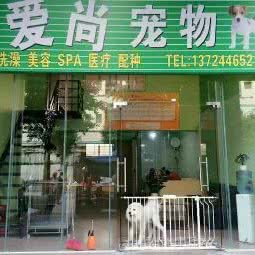 爱尚宠物:东莞市虎门镇大宁附近