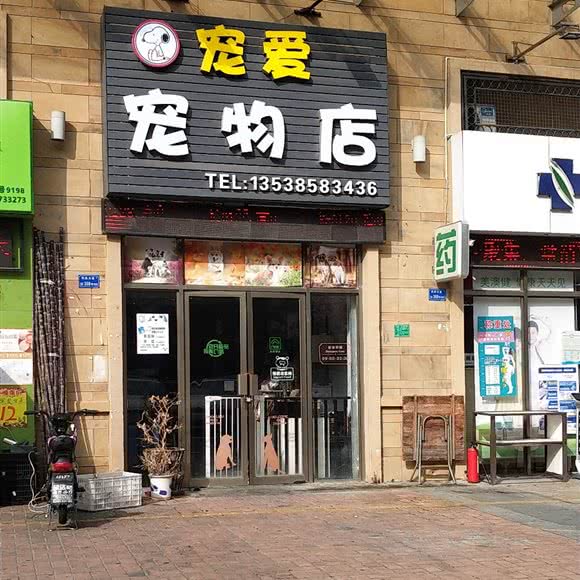 爱宠宠物店:东莞市凤岗镇雁田附近