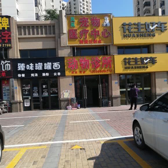 动物诊所:东莞市凤岗镇雁田附近