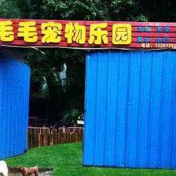 毛毛宠物店(长安店):东莞市长安镇长安镇区附近