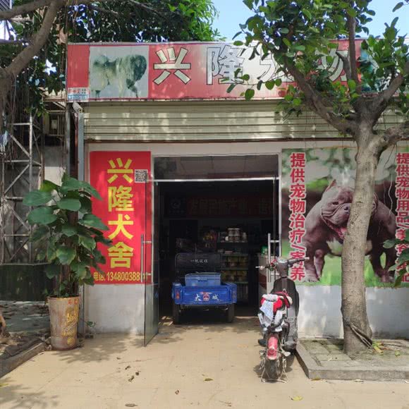 兴隆宠物:东莞市长安镇长安镇区附近