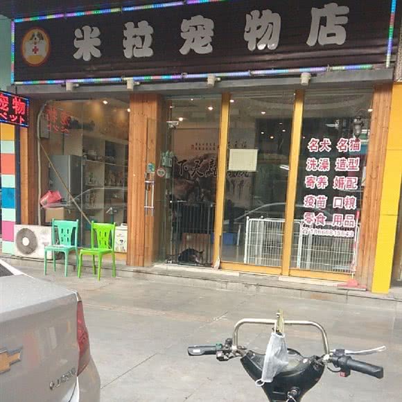 米拉宠物店:东莞市长安镇长安镇区附近