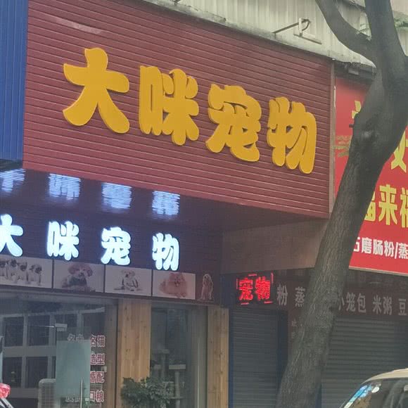 大咪宠物:东莞市长安镇长安镇区附近