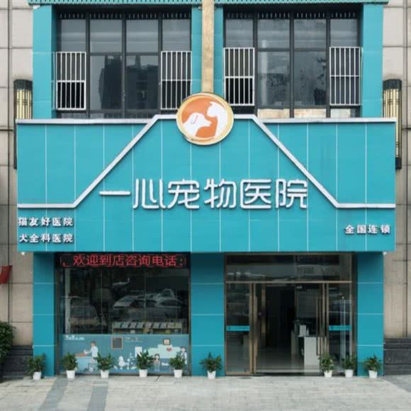 一心宠物医院:东莞市长安镇长安镇区附近