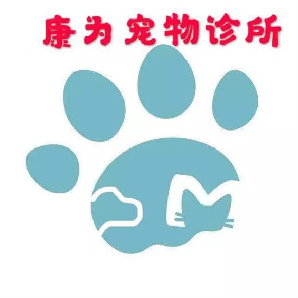 康为宠物诊所:东莞市长安镇长安镇区附近