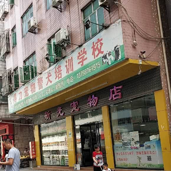 得力宠物警犬培训学校:东莞市长安镇长安万科广场附近