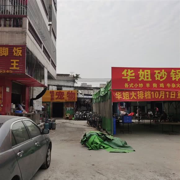 钱多多宠物:东莞市长安镇厦边大道附近