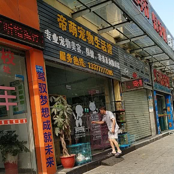 帝萌宠物生活馆:东莞市长安镇振安路附近