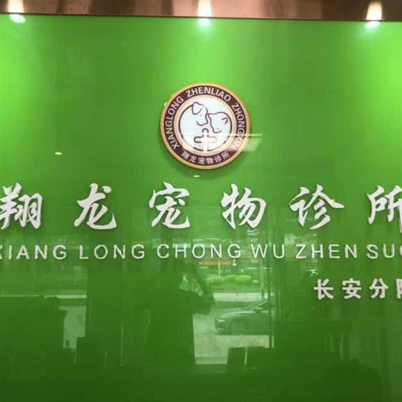 翔龙宠物狗诊所:东莞市长安镇振安路附近