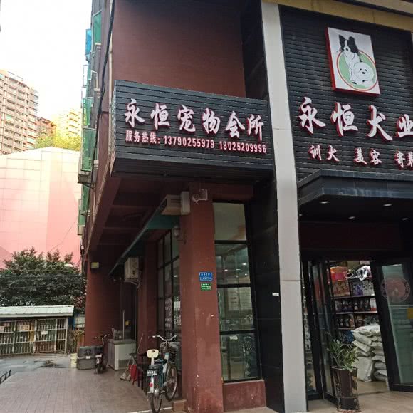 厚街永恒宠物犬业:东莞市厚街镇厚街大润发附近