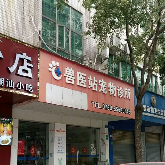 兽医站宠物诊所(海悦店):东莞市厚街镇厚街大润发附近