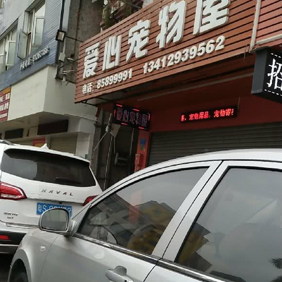 爱心宠物屋:东莞市厚街镇康乐路附近