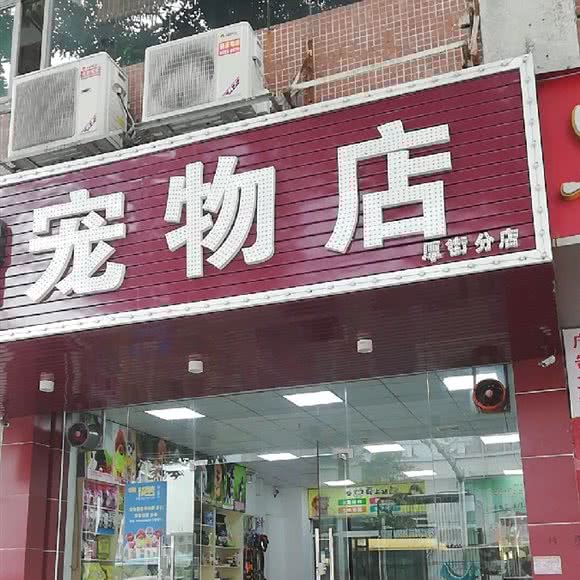 猫狗大战宠物店(厚街分店):东莞市厚街镇康乐路附近