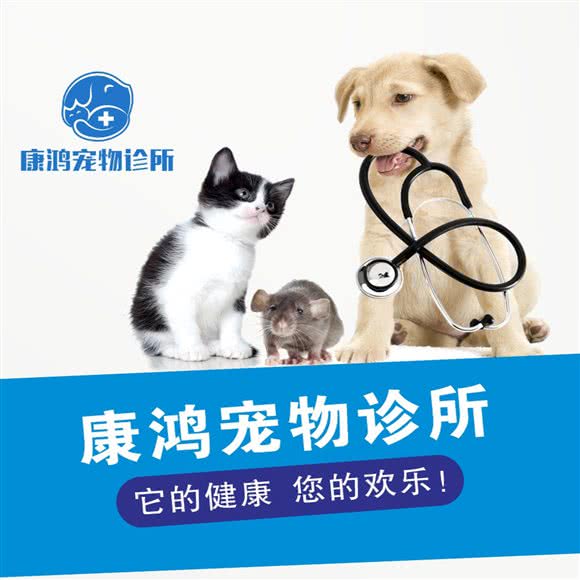 康鸿宠物诊所(黄江店):东莞市黄江镇太子酒店附近