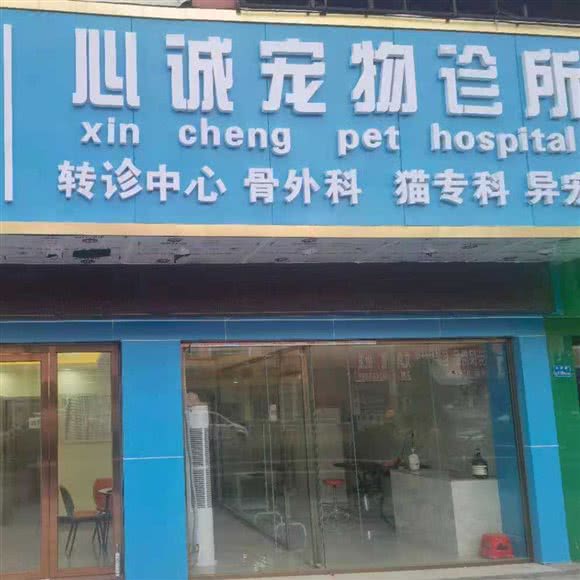 心诚宠物诊所(黄江店):东莞市黄江镇黄江嘉荣附近