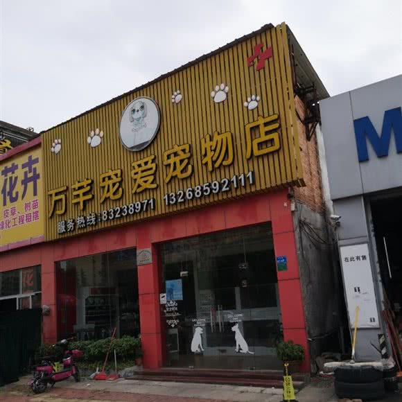 万芊宠爱宠物店:东莞市寮步镇寮步镇中心城区附近