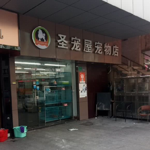 圣宠屋宠物店(寮步店):东莞市寮步镇寮步镇中心城区附近
