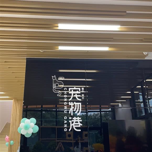 宠物港猫咪生活馆(连城别苑店):邯郸市丛台区高开区附近
