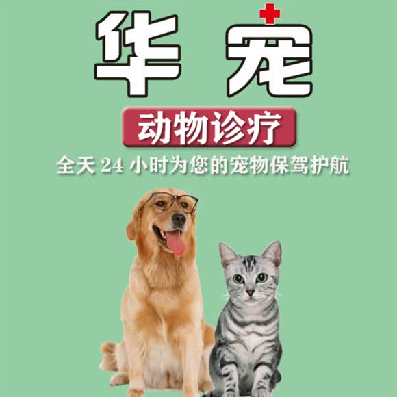 华宠动物诊疗:东莞市寮步镇汽车客运东站附近