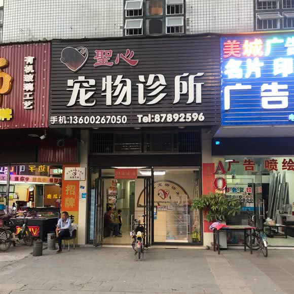 圣心宠物诊所:东莞市清溪镇聚富路附近