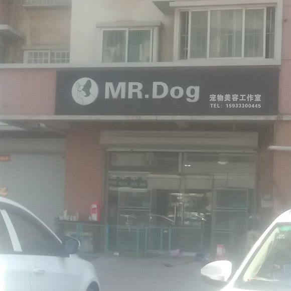 Mr.dog宠物美容工作室:邯郸市丛台区高开区附近