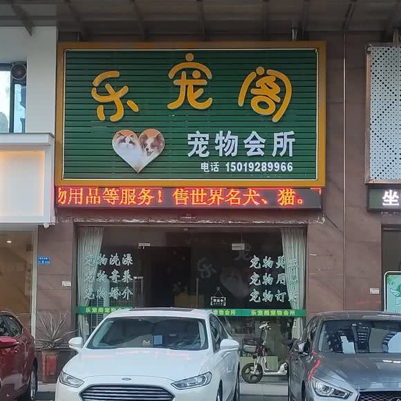 乐宠阁宠物会所:东莞市高埗镇高埗广场附近