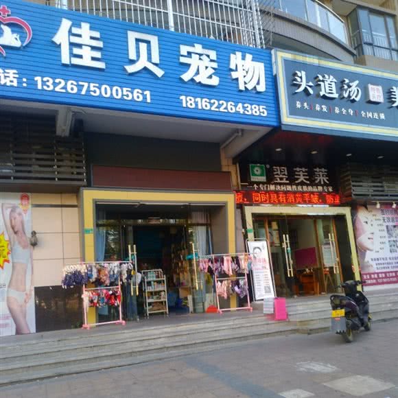 佳贝宠物狗:东莞市横沥镇横沥镇中心城区附近