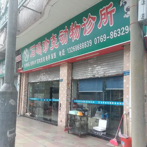 石碣珍尧动物诊所:东莞市石碣镇石碣镇附近