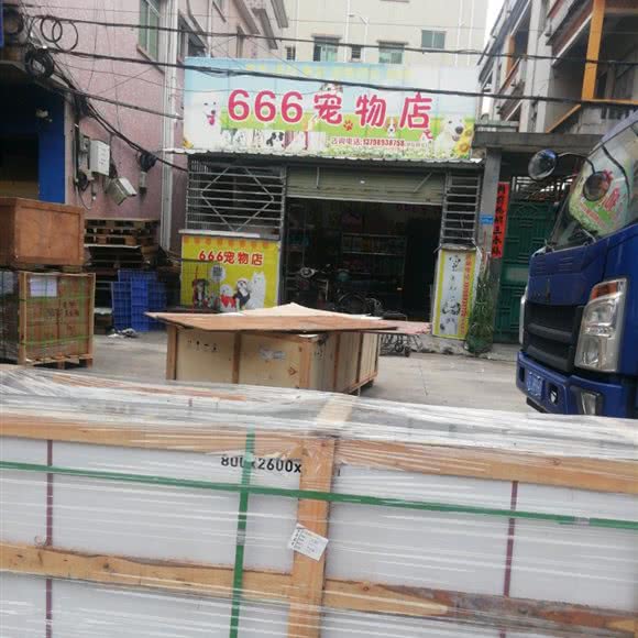 666宠物店:东莞市东坑镇东坑镇附近