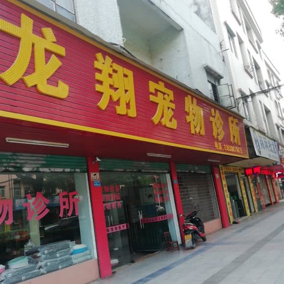 龙翔宠物诊所:东莞市东坑镇东坑镇附近