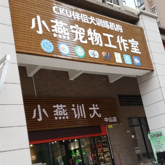 小燕狗狗工作室:中山市东区街道远洋城附近