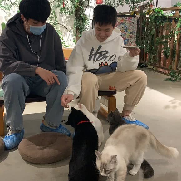 半点懒猫猫咖:中山市东区街道完美金鹰广场附近