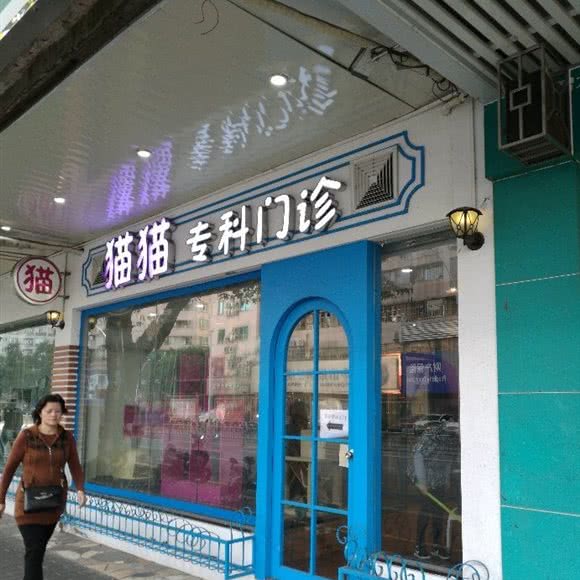 猫猫专科门诊:中山市东区街道利和广场附近