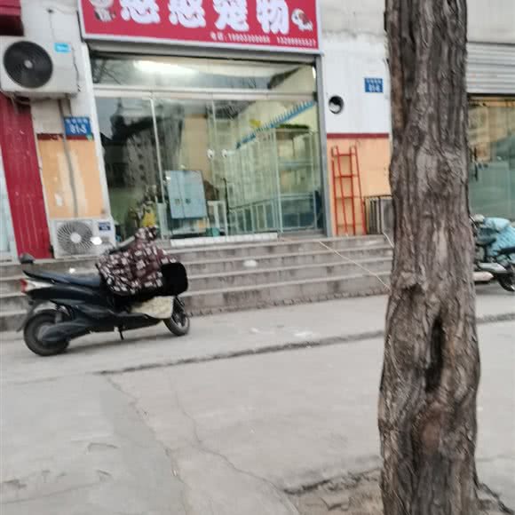 憨憨宠物:邯郸市丛台区稽山新天地附近